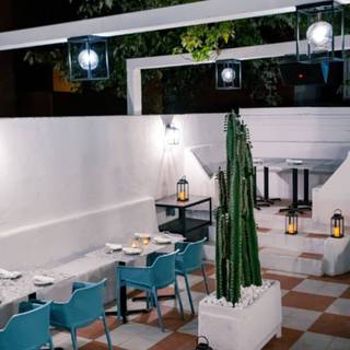 Cactus Patio