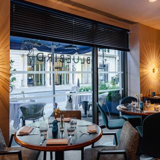 Restaurant Pick: Top Rated (&pound;&pound;&pound;) near Troy Bar London