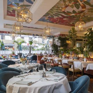 The Ivy Dawson Street