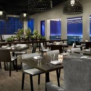 Best Restaurants In Mount Prospect Opentable E O Food And Drink