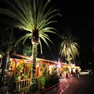 Rockin Baja Lobster Old Town
