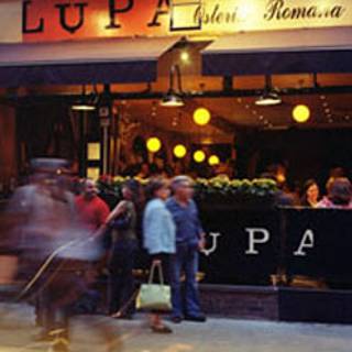 Lupa