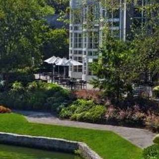 Savor Bar & Kitchen