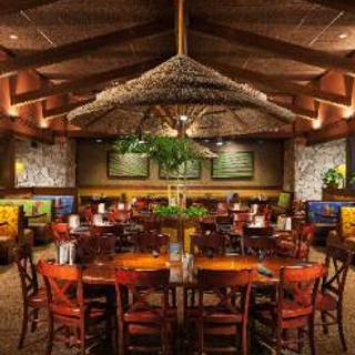 200 Restaurants In Riverview Fl Opentable Bahama Breeze Brandon Mall