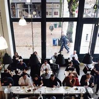 The London Plane