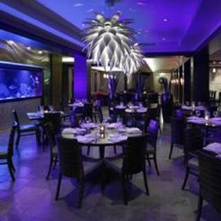 The Atlantic Grille - The Seagate Hotel & Spa