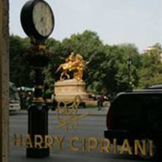 Harry Cipriani