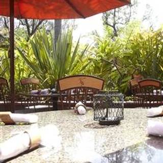 Tommy Bahama Island Grille Newport Beach Restaurant Tommy Bahama Island Grille Newport Beach Restaurant Ca Opentable