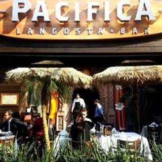 Pacifica - Polanco