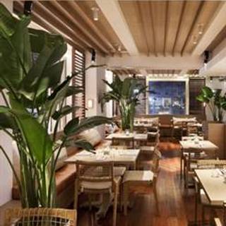 Tommy Bahama - New York