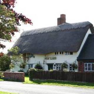Lamb Chalgrove