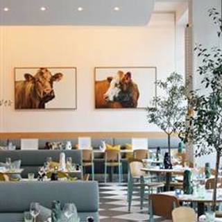 Kensington Place