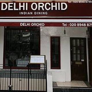 Delhi Orchid