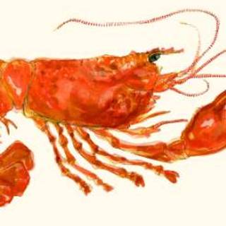 Lobster Bar