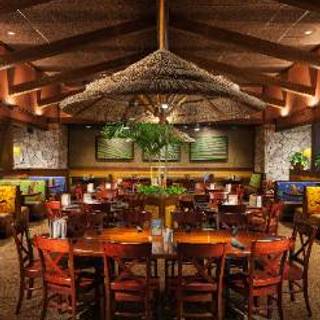 Bahama Breeze - Tom's River
