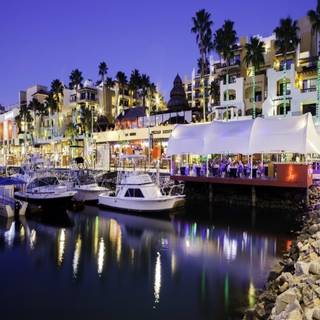 Baja Lobster Co. - Hotel Marina Fiesta Resort & Spa