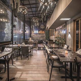 Amalia - Polanco