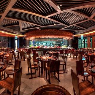 Novikov Dubai