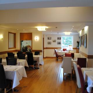 Yew Tree - The Indian Courtyard