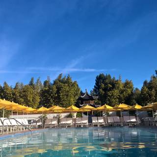 THE POOL - Four Seasons Westlake Village