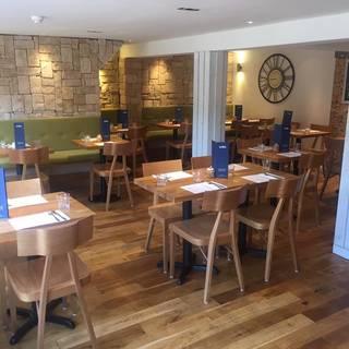The Olive Tree