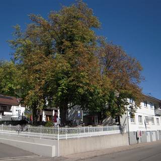 Gasthaus zum Uhlberg