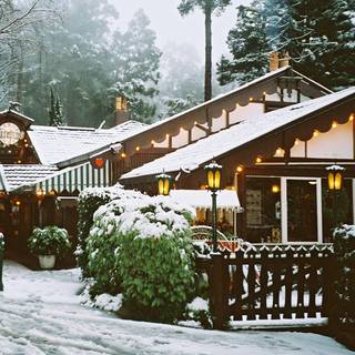Cuckoo Restaurant