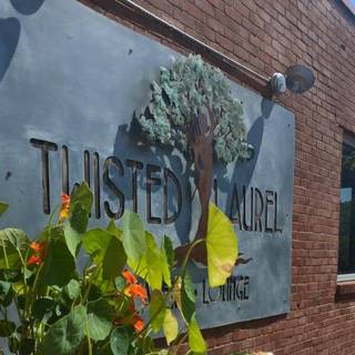 Daphne at Twisted Laurel