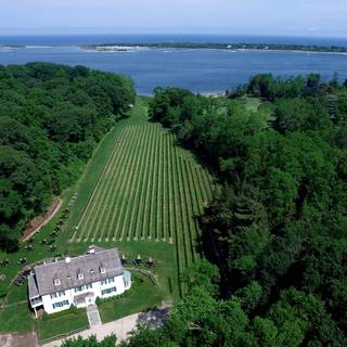 Harmony Vineyards Brunch catered by Farm to Table Catering by Filomena
