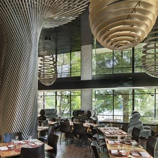 Kingbird at The Watergate Hotel