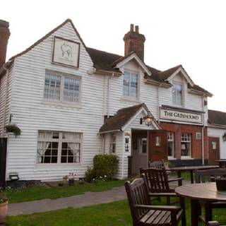 The Greyhound