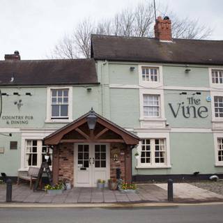 The Vine