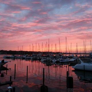 Dockside Oyster Bar & Cafe