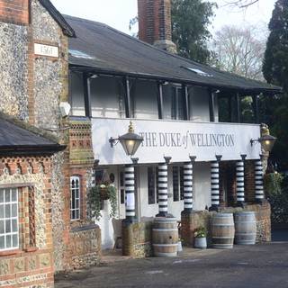 The Duke of Wellington