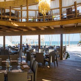Jellyfish Restaurant