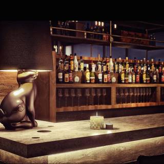 Jackrabbit
