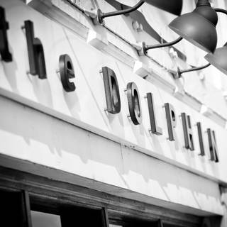 The Dolphin