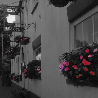 The Fleece Inn