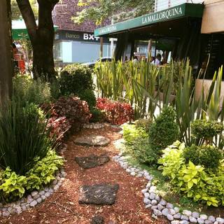 La Mallorquina - Polanco