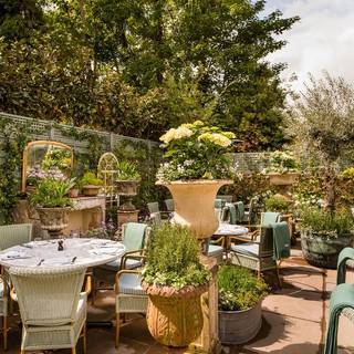 The Ivy Marlow Garden