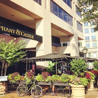 Elephant & Castle - DC Pennsylvania Ave.