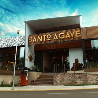Santo Agave