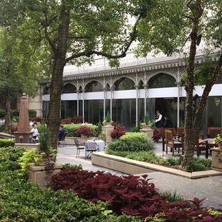 The Conservatory