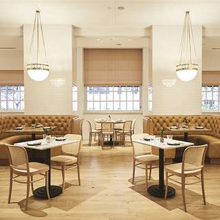 City Hall Bistro at the Adolphus Hotel