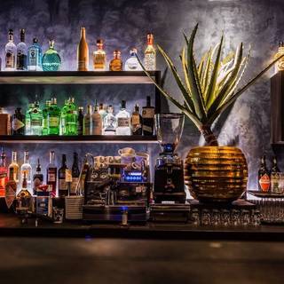 Botanic District-Bar