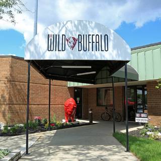 The Wild Buffalo