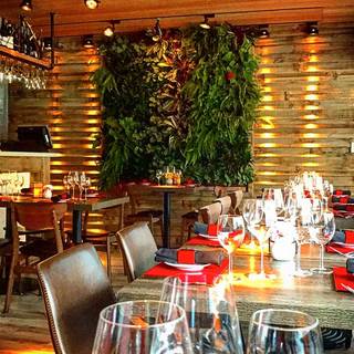 Lola Restaurant & Grill - Lincoln Rd.