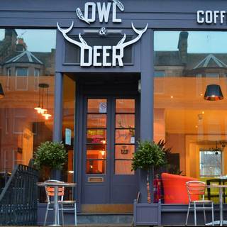 Owl & Deer