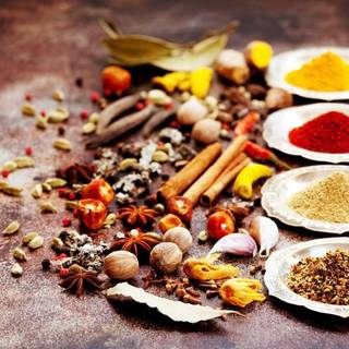Spice of America