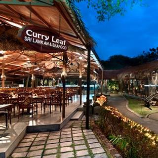 Curry Leaf - Hilton Colombo